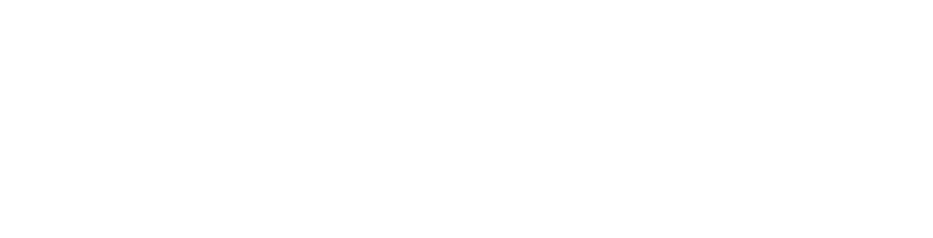 Schiefer Gruppe